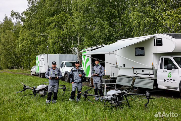 Посев сидератов агродроном — мелкосемянный сев на