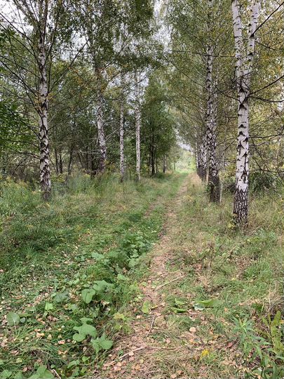 Участок 5 сот. (ИЖС)