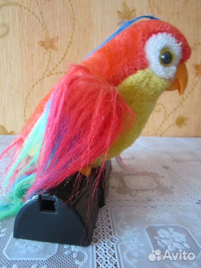Декоративный (говорящий) попугай