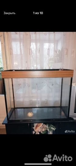 Аквариум 200 +