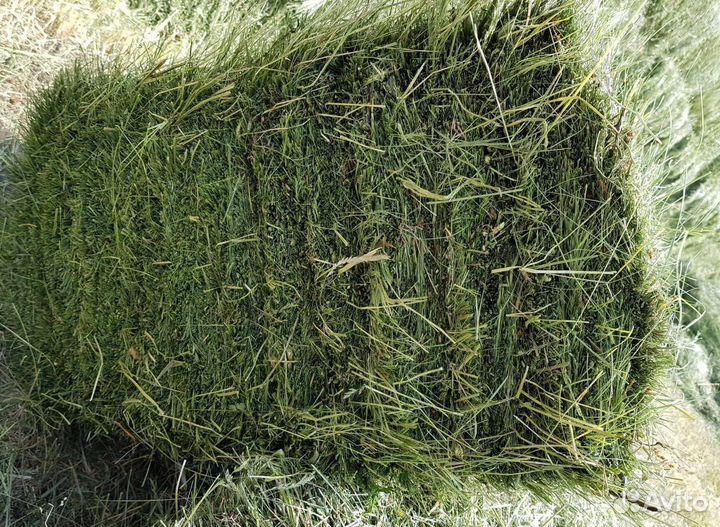 Сено и Опилки в тюках