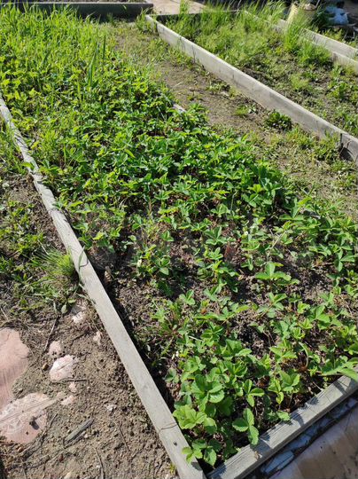 Участок 9,96 га (СНТ, ДНП)