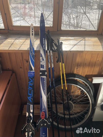 Беговые лыжи