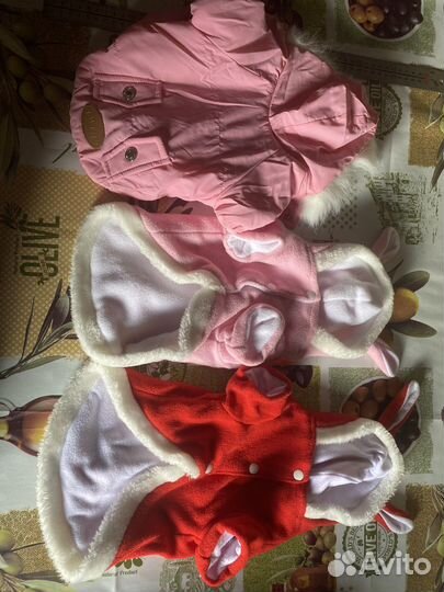 Одежда для маленьких собак