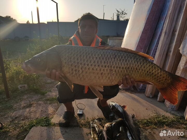 Рыбалка в Астраханской области,Бирючья Коса