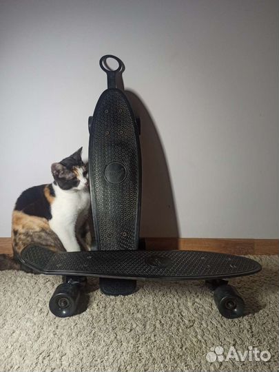 Пенни борд termit cruiser