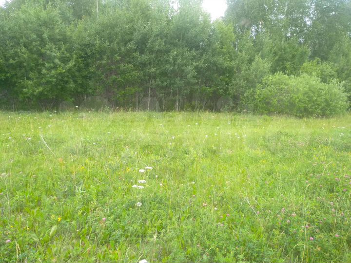 Участок 10,1 сот. (СНТ, ДНП)