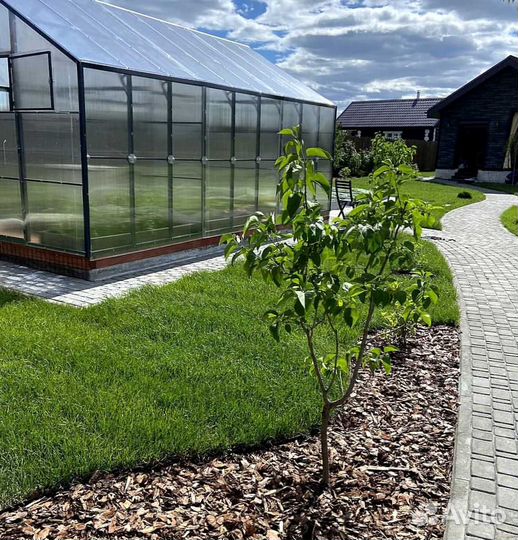 Рулонный газон