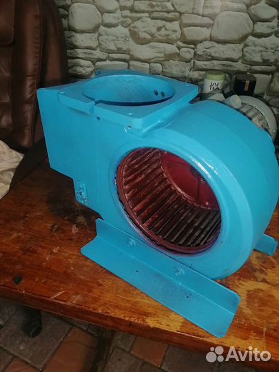 Улитки пылевые