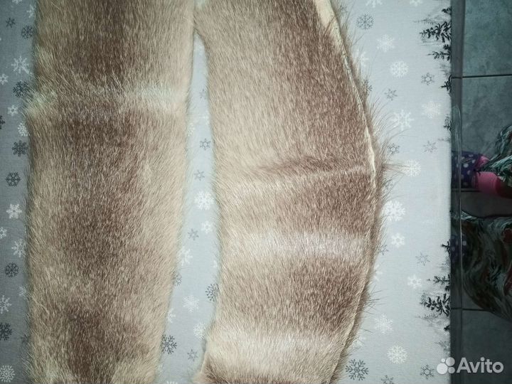 Шкурка животного