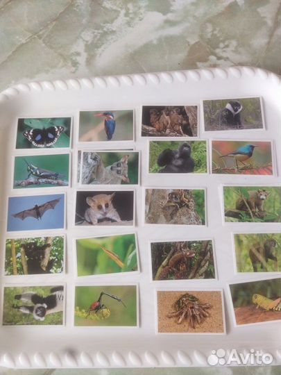 Стикермания.Карусель