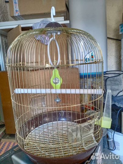Клетка для попугая бу