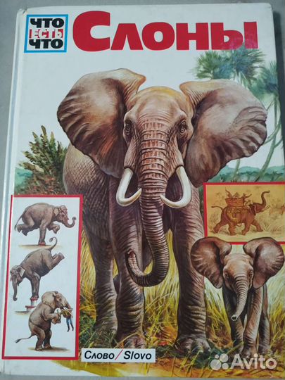 Детские энциклопедии и взрослые подарочные книги