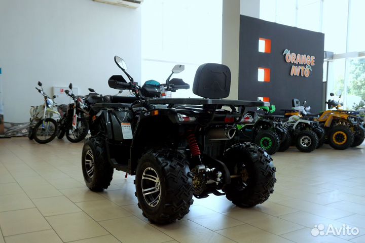 Avantis hunter 200 BIG Premium