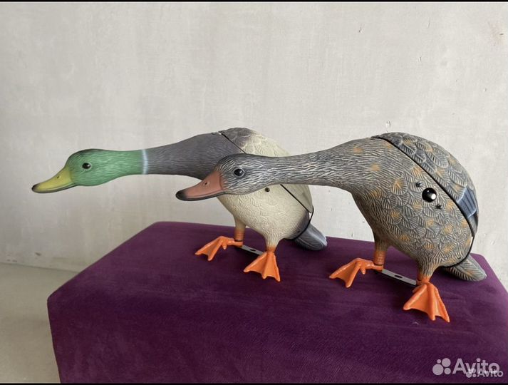 Чучело утки махокрыл