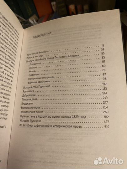 Пушкин капитанская дочка