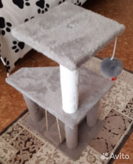 Когтеточка