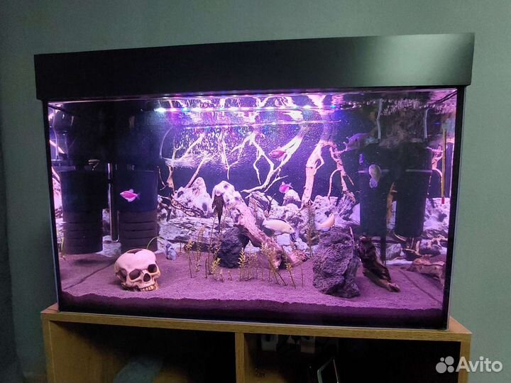 Аквариум