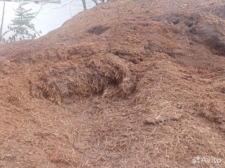 Навоз конский