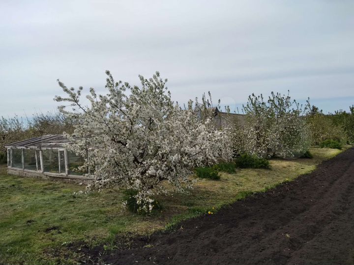 Дом 75 м² на участке 50 сот.