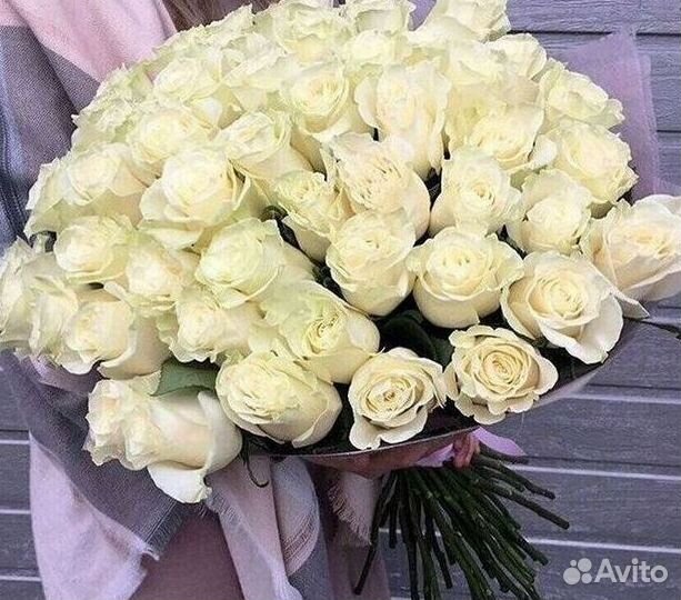 Высокие розы Гигантские розы Доставка цветов