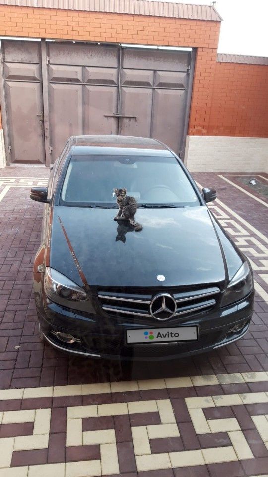 Mercedes-Benz C-класс: фото владельца
