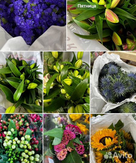 Цветы Розы Оптом