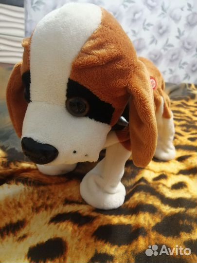 Хаги и другие