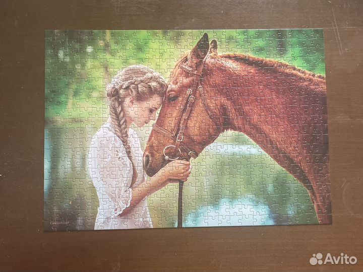 Пазл Castorland 500