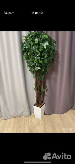 Искусственные деревья в кашпо