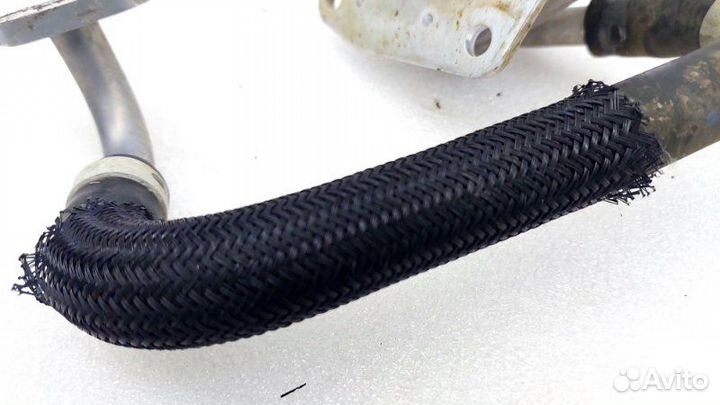 Радиатор масляный Toyota Rav4 50 M20afks 2021