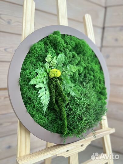 Панели из стабилизированного мха