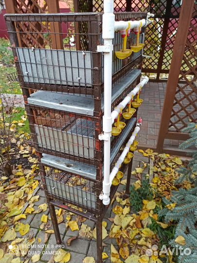 Клетки для перепелов