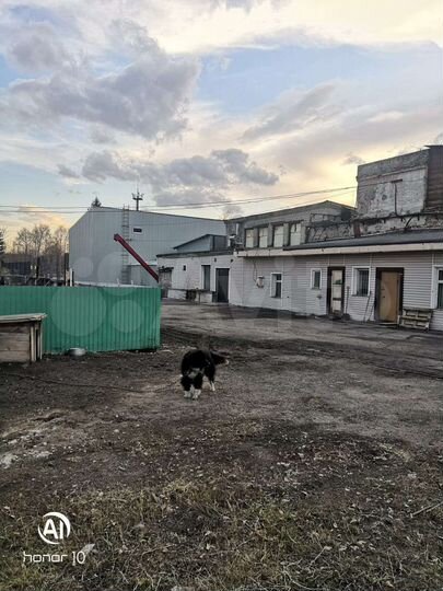 Свободного назначения, 490 м²