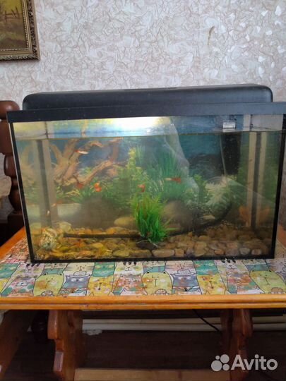 Аквариум