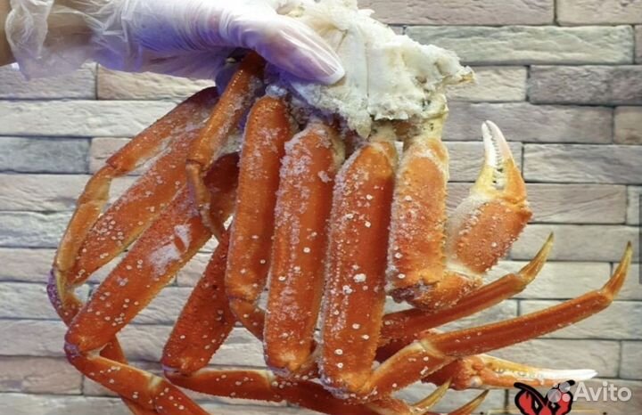 Конечности стригуна оптом