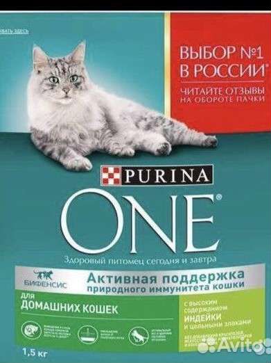 Влажный и сухой корм для кошек