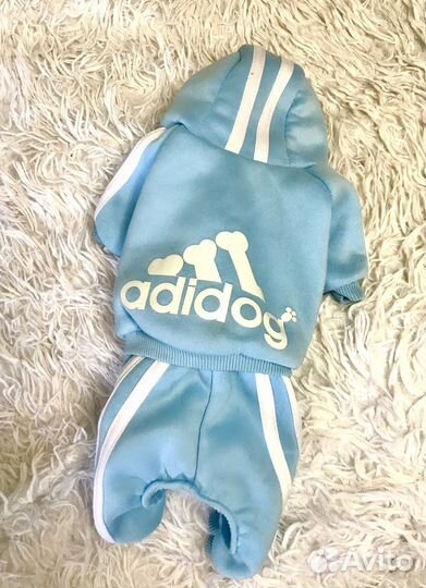 Одежда для собак чихуахуа