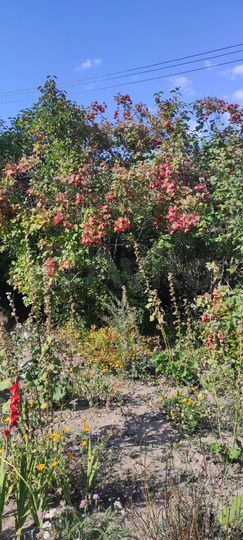 Дача 58 м² на участке 18 сот.