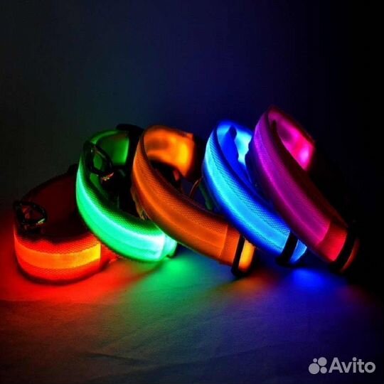 Светящийся ошейник собак и кошек