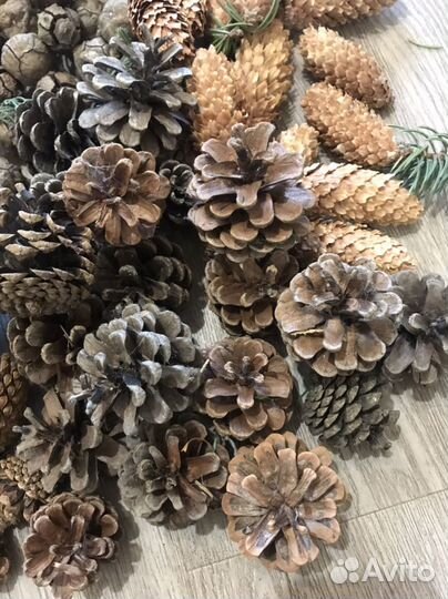 Набор для декора, поделок. Шишки
