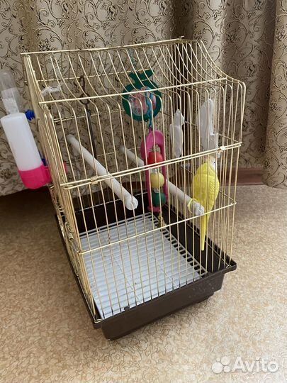 Клетка для попугая