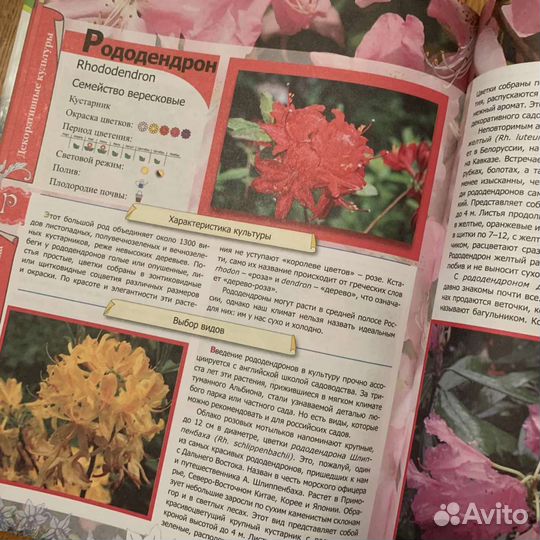 Энциклопедия дачника