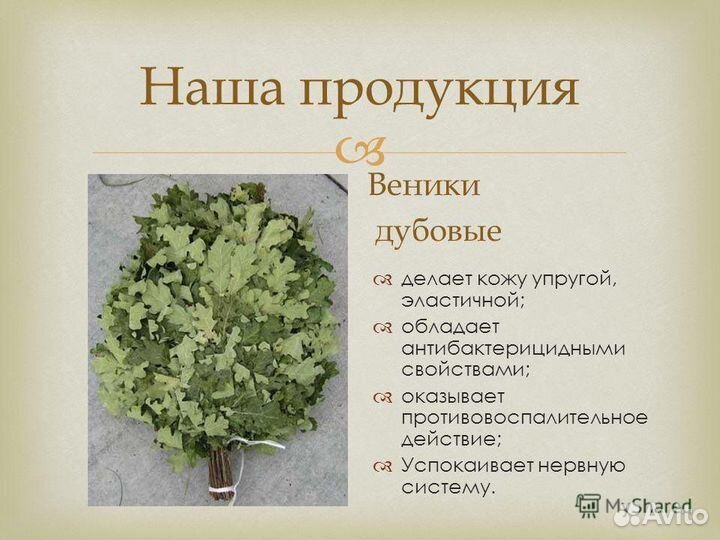 Дубовые веники для бани