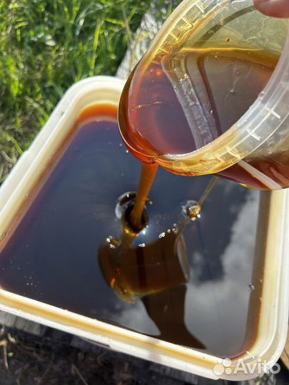 Мед Гречишный опт