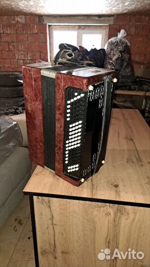 Баян Тула 202