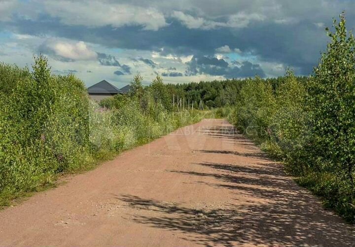 Участок 12,5 сот. (СНТ, ДНП)
