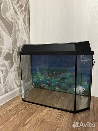 Аквариум