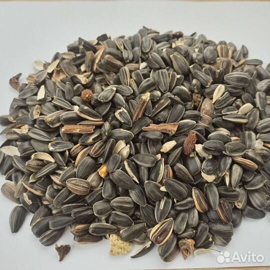 Семечки подсолнечника