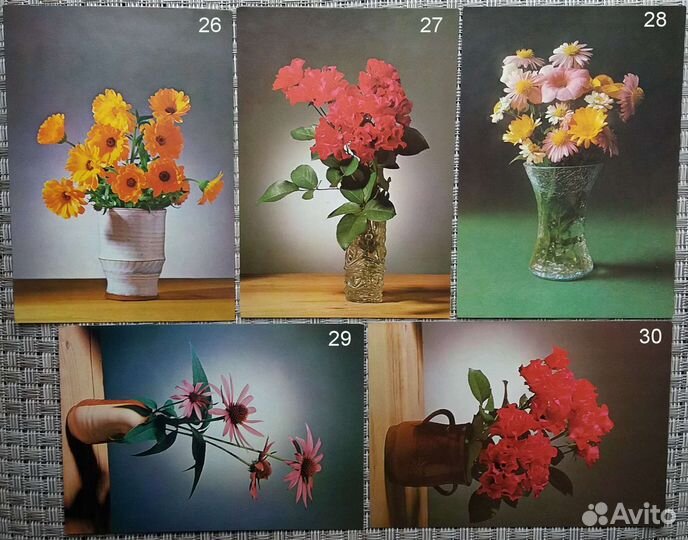 Foto:P.HudecPress/FotoBratislava